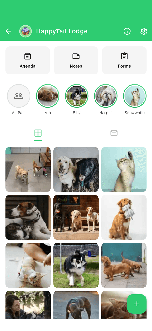 Palioo App - Main Screen
