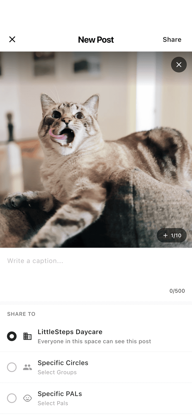 Photo & Video Sharing screenshot